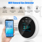 Wifi Natural Gas Sensor Combustible Household Smart LPG Gas Alarm Detector Leakage Sensor Wifi Temperature Detectors